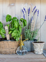 Thumbnail for picture #4