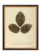 Thumbnail for picture #7