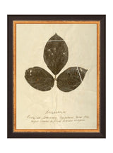 Thumbnail for picture #6