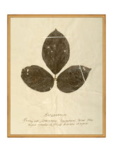 Thumbnail for picture #5