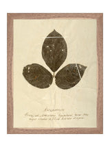 Thumbnail for picture #11