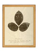 Thumbnail for picture #3