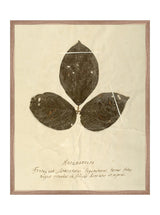 Thumbnail for picture #13