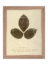 Thumbnail for picture #10