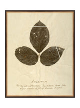 Thumbnail for picture #9