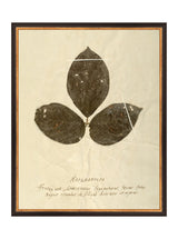 Thumbnail for picture #8