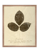 Thumbnail for picture #12