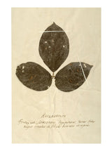 Thumbnail for picture #14