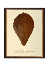 Thumbnail for picture #11