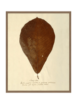 Thumbnail for picture #9