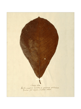 Thumbnail for picture #28