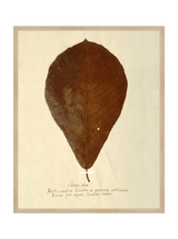 Thumbnail for picture #5