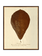 Thumbnail for picture #13