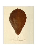 Thumbnail for picture #26