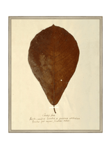 Thumbnail for picture #23