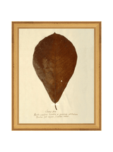 Thumbnail for picture #15