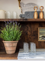 Thumbnail for picture #3