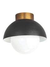 Thumbnail for picture #2