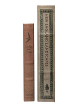 Thumbnail for picture #5