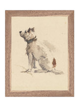 Thumbnail for picture #2