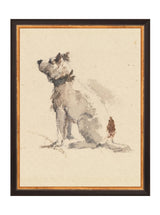 Thumbnail for picture #7