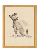 Thumbnail for picture #11