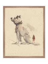 Thumbnail for picture #4