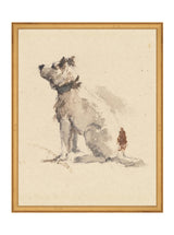 Thumbnail for picture #12