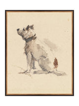 Thumbnail for picture #9