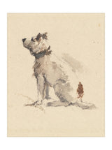 Thumbnail for picture #14