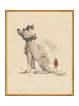 Thumbnail for picture #13