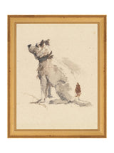 Thumbnail for picture #10