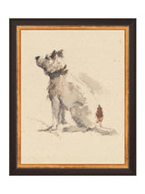 Thumbnail for picture #6