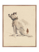 Thumbnail for picture #5