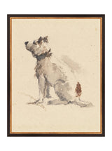 Thumbnail for picture #8