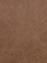 Thumbnail for picture #10