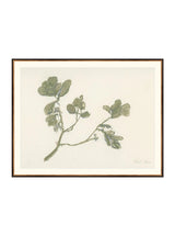 Thumbnail for picture #13