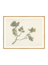 Thumbnail for picture #18