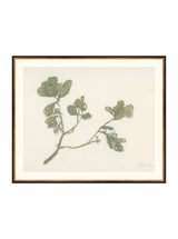 Thumbnail for picture #12