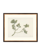 Thumbnail for picture #10