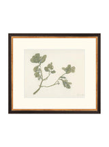 Thumbnail for picture #9