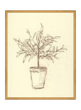 Thumbnail for picture #5