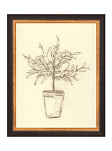 Thumbnail for picture #6