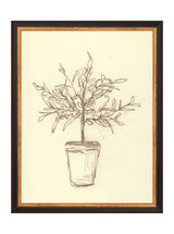 Thumbnail for picture #7