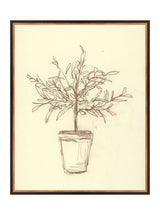 Thumbnail for picture #9