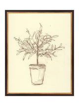 Thumbnail for picture #8