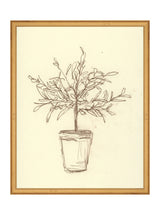 Thumbnail for picture #4