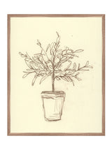 Thumbnail for picture #13