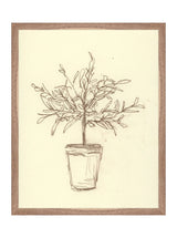 Thumbnail for picture #12