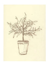 Thumbnail for picture #14